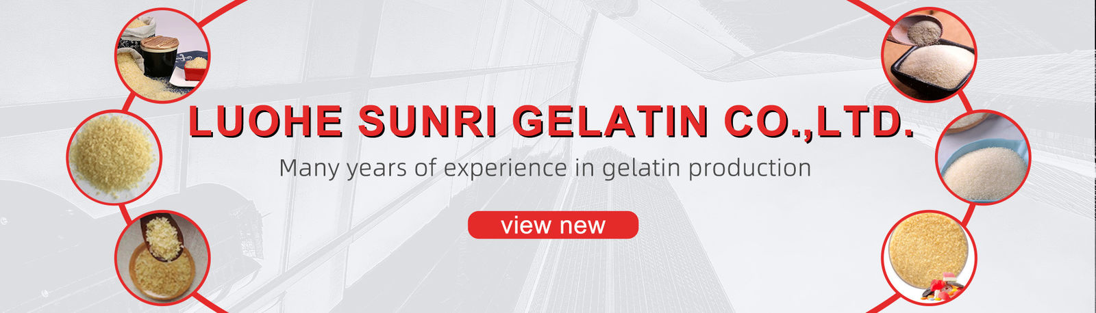 Qualität Industrielles Gelatine-Pulver usine